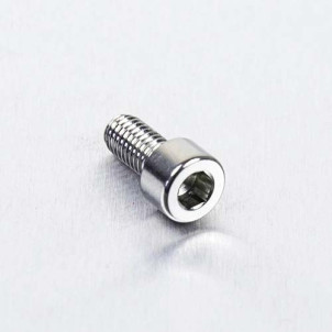 Achat Vis BTR en Inox Poli M5 x 10mm (0.8mm)  - Visserie moto Pro-Bolt