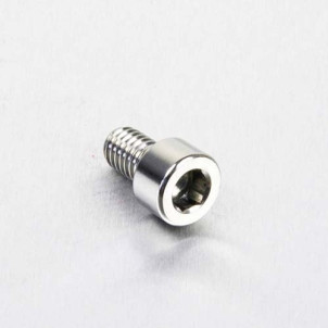 Achat Vis BTR en Inox Poli M6 x 10mm (1.00mm) - Visserie moto Pro-Bolt