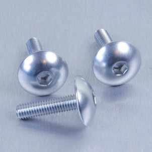 Acheter Vis à tête bombée en Aluminium M5 x 20mm XL (0,8mm) - Visserie moto de couleur Probolt