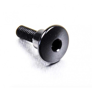 Acheter Vis à tête bombée en Aluminium M6 x 22mm (1.00mm) - Visserie moto de couleur Probolt