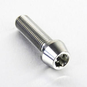 Achat  Vis Titane tête BTR conique M10 x (1.25mm) x 35mm - Visserie moto Probot