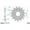 Pignon Afam Acier Type 24501 PAS 520 Kawasaki