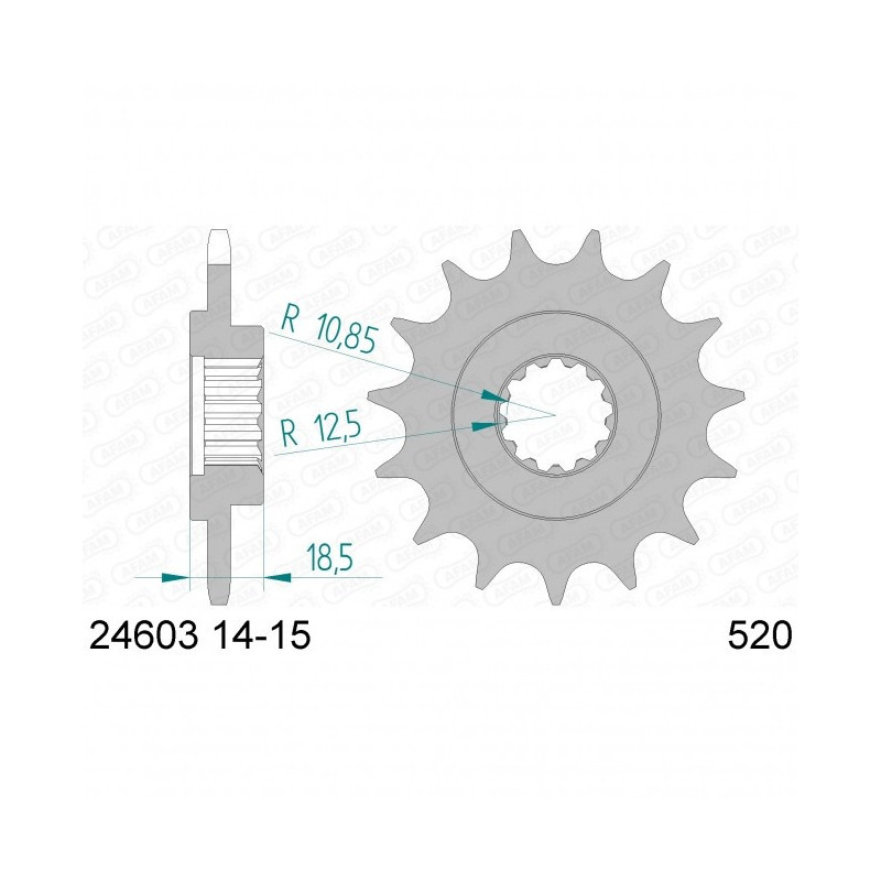 Pignon Afam Acier Type 24603 PAS 520