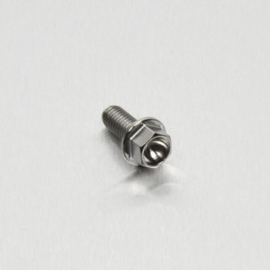 Achat Vis Titane tête Hexagonale M5 x (0.8mm) x 12mm - Visserie moto Probolt