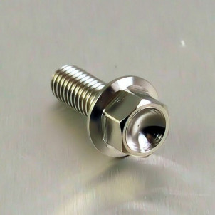 Achat ViVis Titane tête Hexagonale M6 x (1.00mm) x 16mm   - Visserie moto Probolt