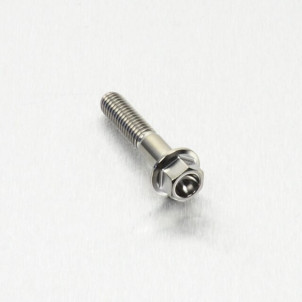 Achat Vis Titane tête Hexagonale M6 x (1.00mm) x 30mm  - Visserie moto Probolt