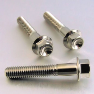 Achat Vis Titane tête Hexagonale M6 x (1.00mm) x 35mm - Visserie moto Probolt