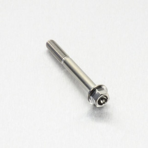 Achat Vis Titane tête Hexagonale M6 x (1.00mm) x 50mm - Visserie moto Probolt