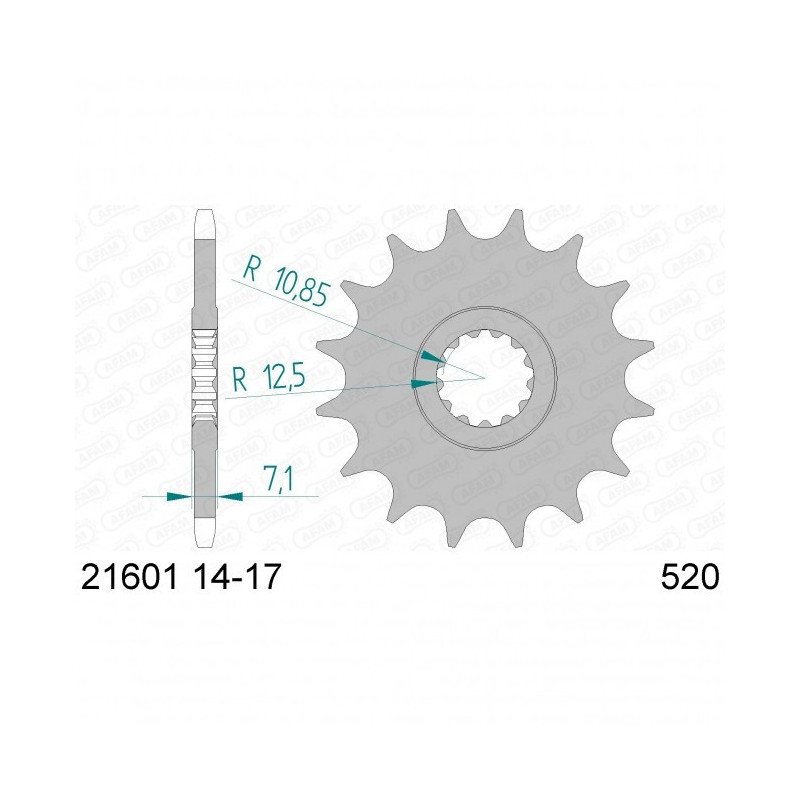 Pignon Afam Acier Type 21601 Pas 520