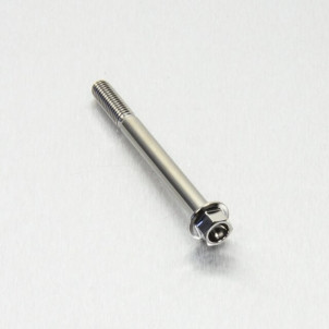 Achat Vis Titane tête Hexagonale M6 x (1.00mm) x 65mm - Visserie moto Probolt