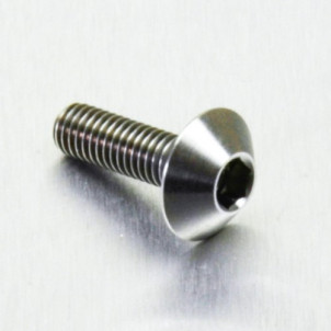 Achat Vis Titane tête Bombée M5 x (0.7mm) x 16mm   - Visserie moto Probolt