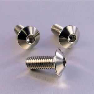 Achat Vis Titane tête Bombée M8 x (1.25mm) x 20mm   - Visserie moto Probolt