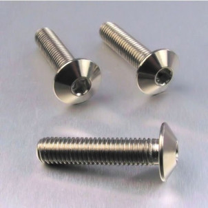 Achat Vis Titane tête Bombée M8 x (1.25mm) x 35mm   - Visserie moto Probolt