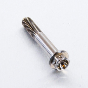 Achat Vis Titane tête Hexagonale Pré Percée M8 x (1.25mm) x 50mm - Visserie moto Probolt