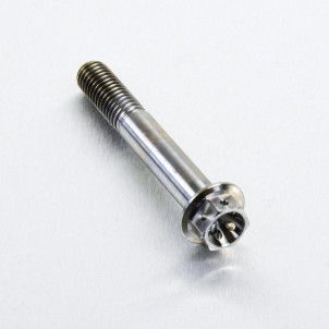 Achat Vis Titane tête Hexagonale Pré Percée M8 x (1.25mm) x 50mm - Visserie moto Probolt