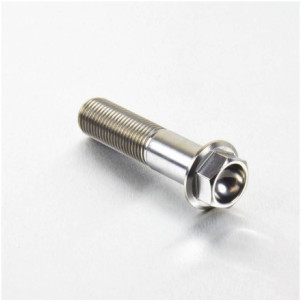 Achat Vis Titane tête Hexagonale M12 x (1.25mm) x 55mm  - Visserie moto Probolt