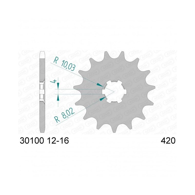 Pignon Afam Acier Type 30100 PAS 420