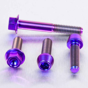 Acheter Kit Vis Titane Pincement Levier Frein et Embrayage - Visserie moto Pro-Bolt