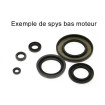 Kit Joints Spi Bas Moteur Pour Aprilia 50 Rs/Extrema/Classic/Red Rose 1991-00 Am6