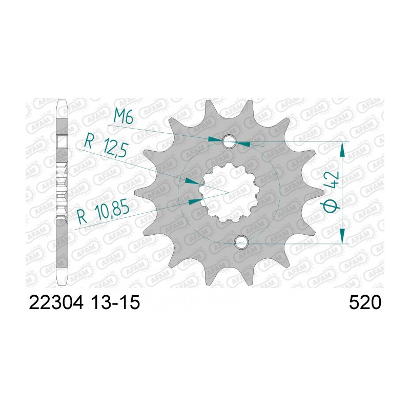 Pignon AFAM 13 dents acier type 22304 pas 520 SUZUKI RG 250 F