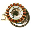 Stator Electrosport Yamaha Yfm 600 Grizzly