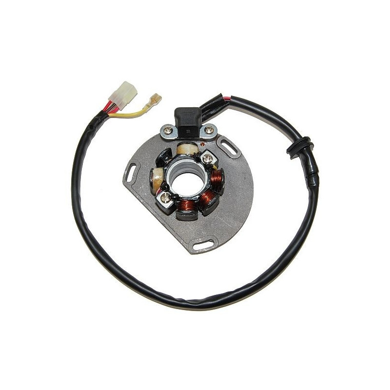 Stator Electrosport Pour Ktm