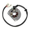 Stator Electrosport Pour Ktm