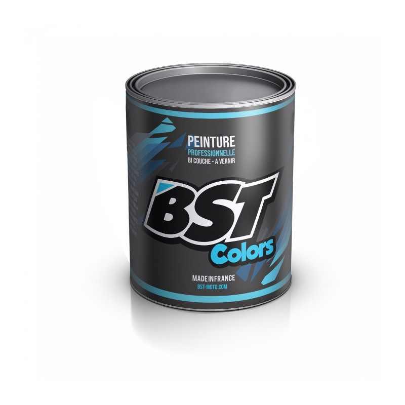 Peinture en Pot BUGATTI 000 - BLANC 1 Kg Solvanté