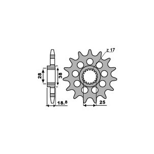 Pignon Pbr 19 Dents Acier...