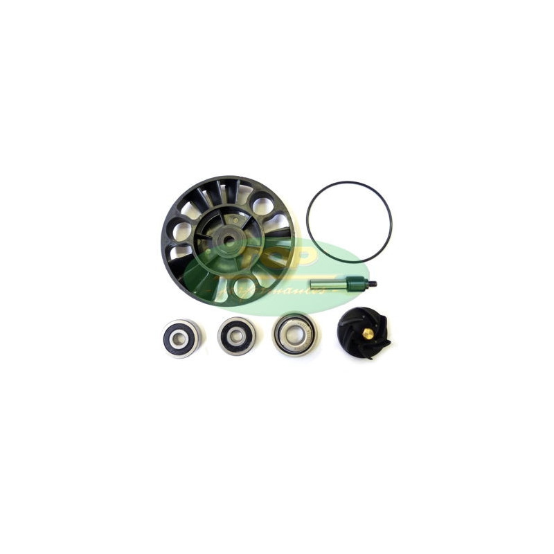 Kit réparation pompe à eau Top Performances moteur Piaggio 125/200 Euro 3