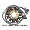 Stator Moto TECNIUM Honda CBR900RR Fireblade