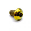 Vis Titane Tête Bombée BT M5 x (0.8mm) x 8mm