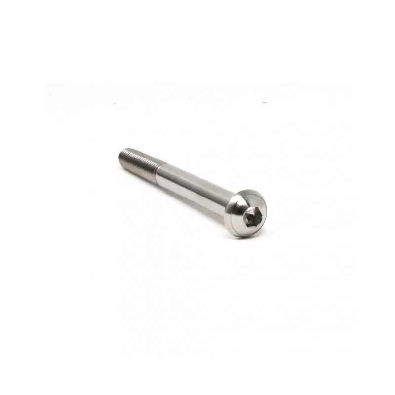 Vis Titane Tête Bombée BT M6 x 1.00mm x 60mm