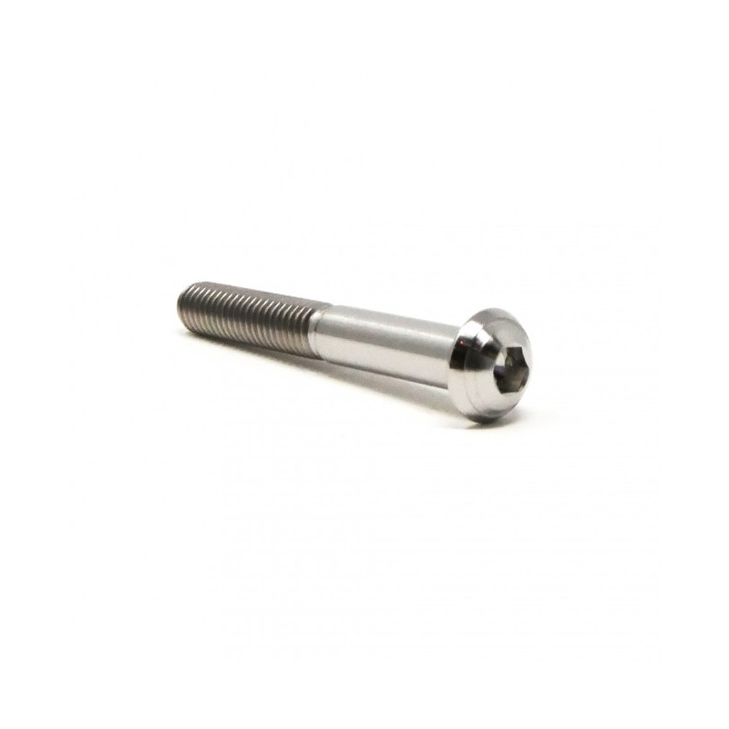 Vis Titane Tête Bombée BT M6 x 1.00mm x 45mm