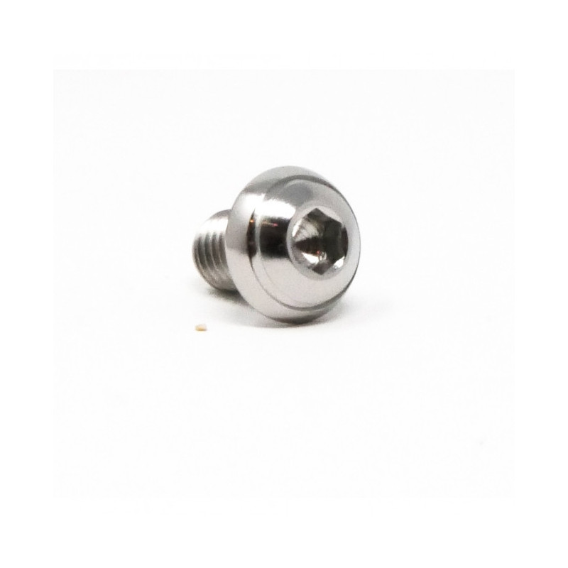 Vis Titane Tête Bombée BT M8 x 1.25mm x 12mm