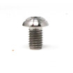 Vis Titane Tête Bombée BT M8 x 1.25mm x 12mm