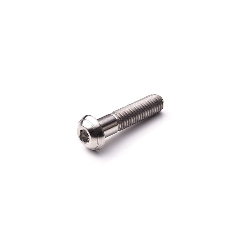 Vis Titane Tête Bombée BT M6 x 1.00mm x 95mm