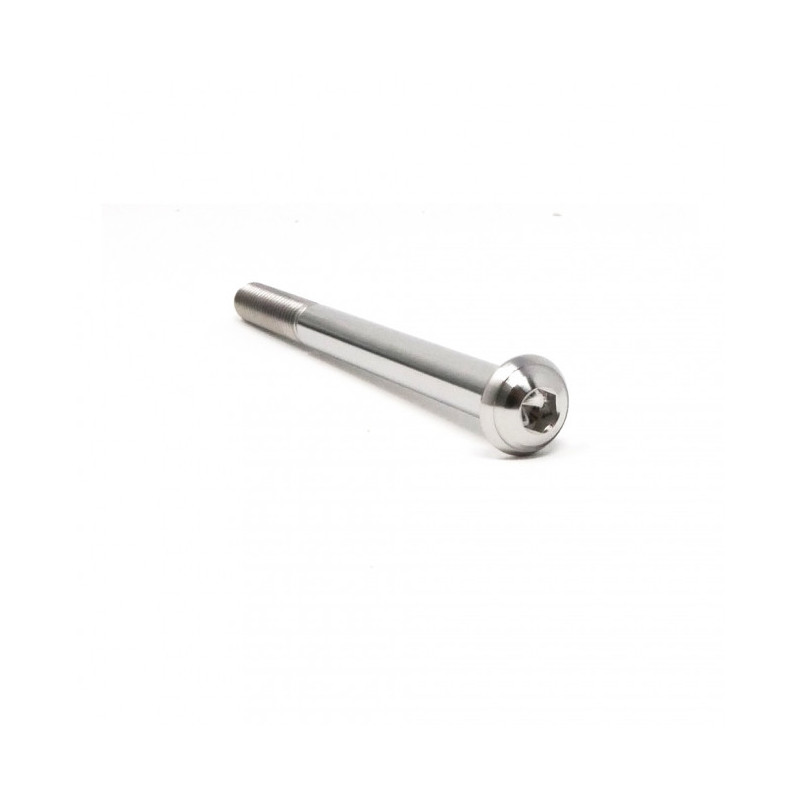 Vis Titane Tête Bombée BT M6 x 1.00mm x 75mm