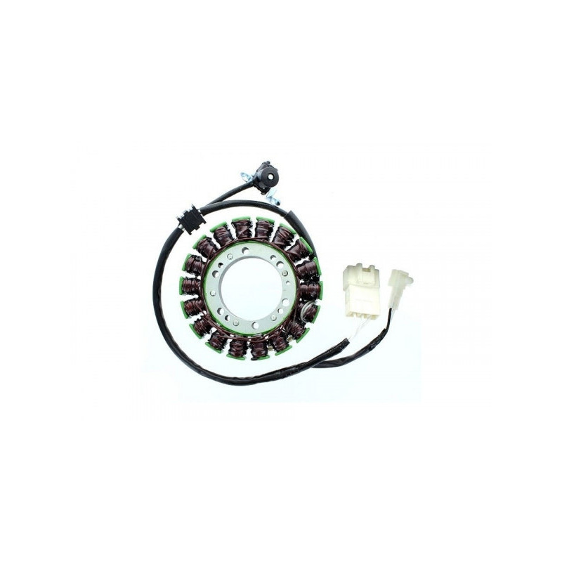 Stator Electrosport Yamaha XVS1300 - ESG799