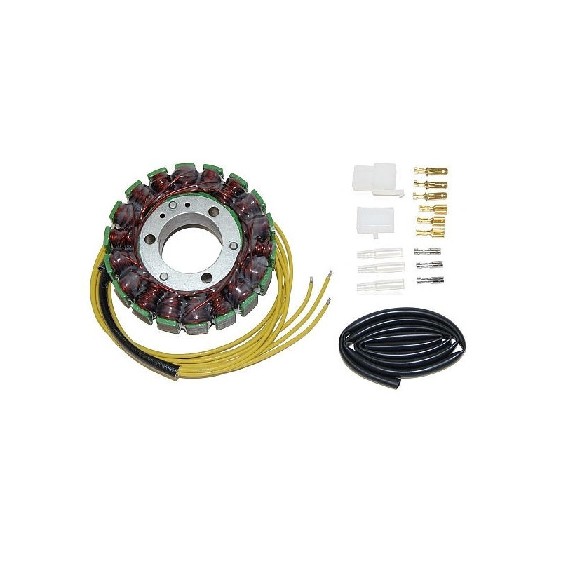 Stator Electrosport Suzuki GZ250 - ESG020