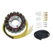 Stator Electrosport Suzuki GZ250 - ESG020