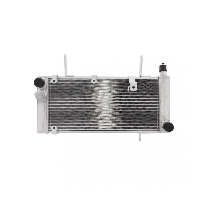 Radiateur Eau Alu Suzuki SV 1000 S/S2/SZ/SZ2 03-05