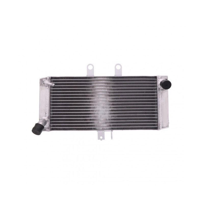 Radiateur Eau Alu Suzuki GSF 650 /S/U/SA/A/SUA Bandit 07-14