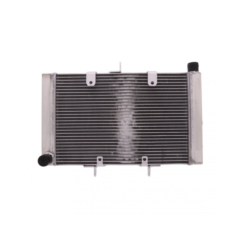 Radiateur Eau Alu Honda CB 1000 R/F/RA FA ABS 08-16