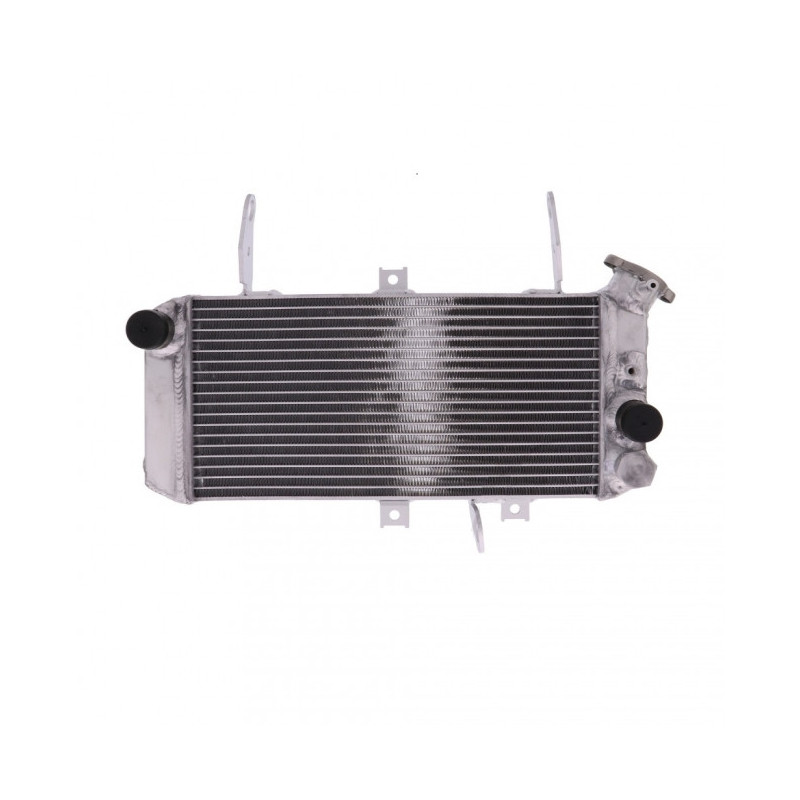 Radiateur Eau Alu Suzuki SV 650 S/U/SU/A ABS 05-16