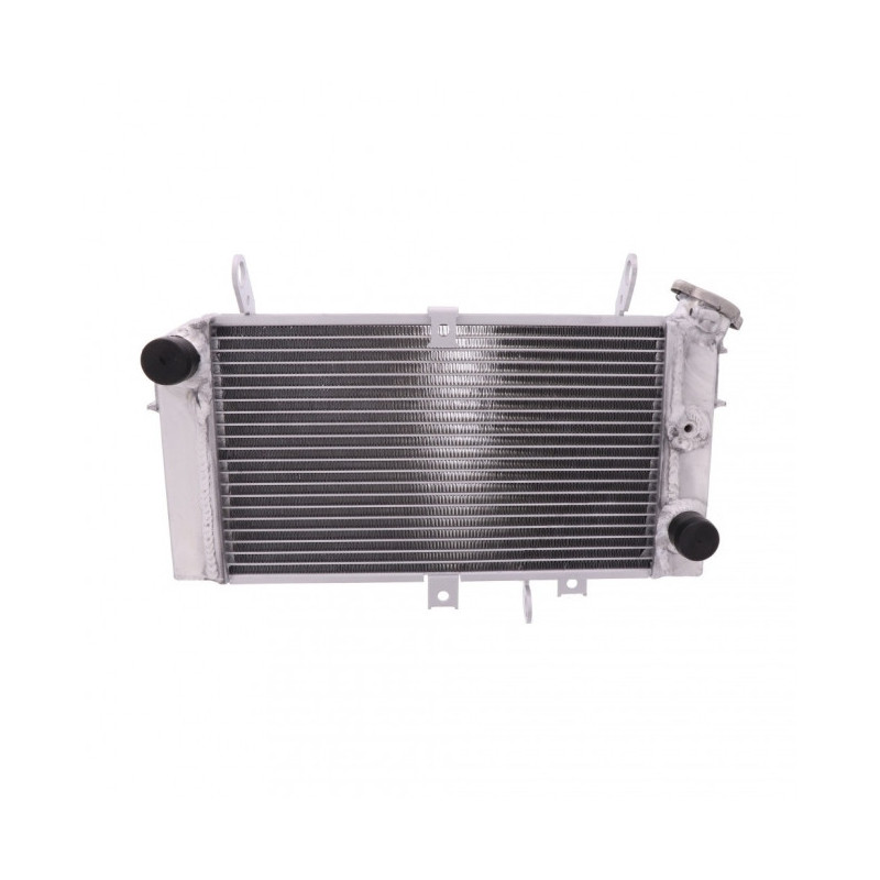 Radiateur Eau Alu Suzuki SFV 650 Gladius /ABS 09-16