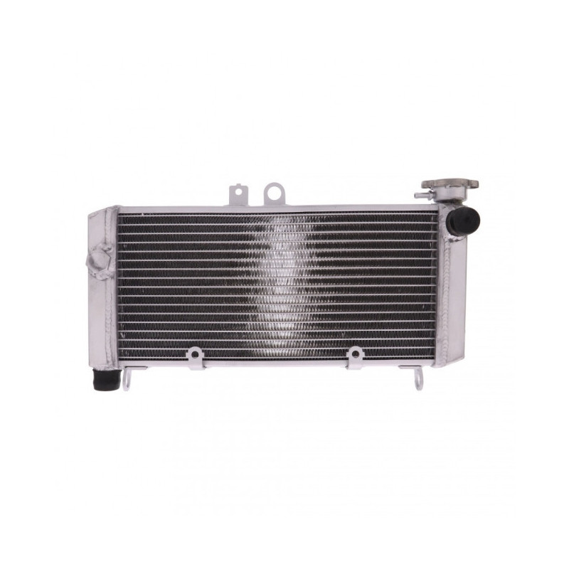 Radiateur Eau Alu Honda CBF 600 S/SA ABS 04-07