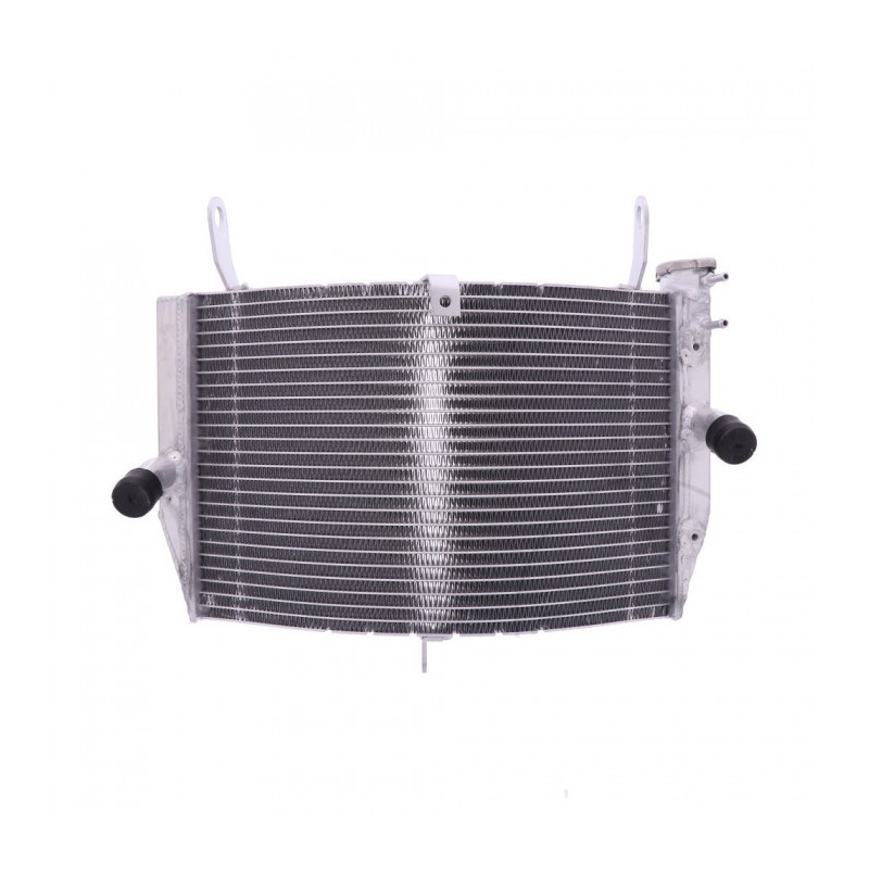 Radiateur Eau Alu Suzuki GSX-S 1000 /AZ ABS 15-19