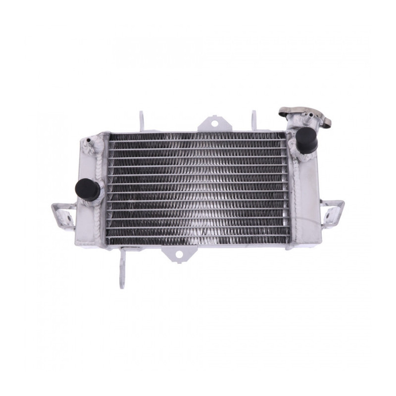 Radiateur Eau Alu Yamaha YZF-R 125 /A Monster Energy ABS 12-