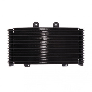 Radiateur Huile Suzuki GSF...